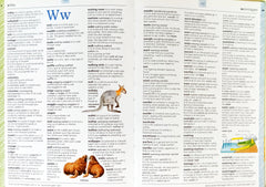 The Usborne Illustrated Dictionary