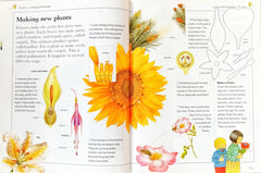 Kingfisher Learning Adventure library