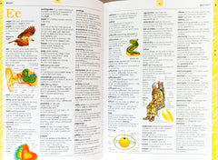 The Usborne Illustrated English Dictionary