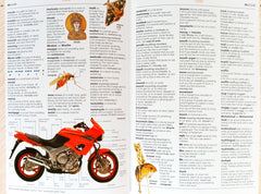 The Usborne Illustrated English Dictionary