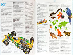The Usborne Illustrated English Dictionary