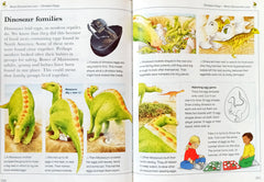 Kingfisher Learning Adventure library