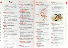 Top Marks Illustrated Dictionary