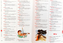 Top Marks Illustrated Dictionary