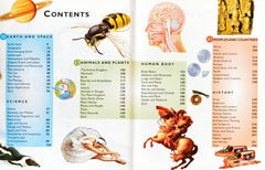 Kingfisher Encyclopedia Of Questions and Answers