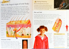 Discover the Human Body