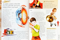 Discover the Human Body