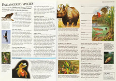 kingfisher Science Encyclopedia Combo (3 Books)