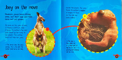 Life Cycles Combo Set 2 (4 Books)