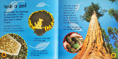 Life Cycles Combo Set 2 (4 Books)