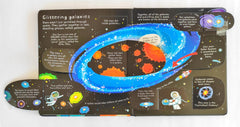 Usborne Look inside Space (Flap Book)