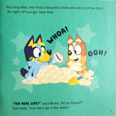 The Beach (Bluey)