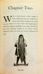 Narnia Edmunds Struggle Under the Spell of the White Witch