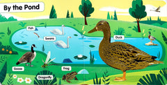 Farm Animals (Touch and Feel)
