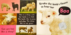 Noisy Farm (Touch and Feel/Sound Book)