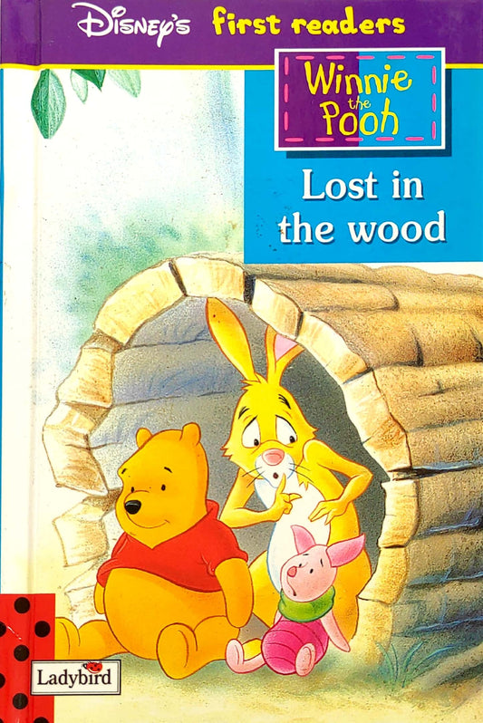 Disney Winnie the Pooh Lost in the Wood