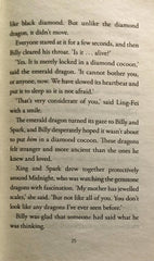 A Dragon Realm Adventure