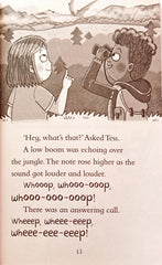 On the Trail of a T Rex (Dinosaur Club)