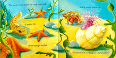 Usborne On the Seashore