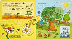 Usborne Look Inside Science (Flap Book)