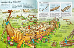 Usborne Viking Raiders