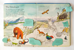 Animals Around the World (Flap Book)