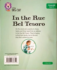 In the Rue Bel Tesoro (Big Cat)