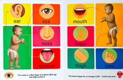 Early Learning Human Body