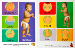 Early Learning Human Body
