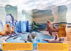 Under The Ocean - 3D Carousel Book