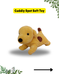 Spot says Goodnight Book and Toy Gift Set