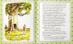 Christopher Robin gives a Pooh Party