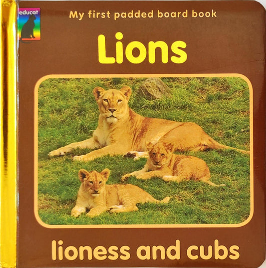 Lions Lioness and Cubs