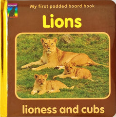 Lions Lioness and Cubs