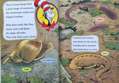 Would you rather be a Tadpole? All about Pond Life