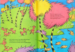 Dr Seuss The Lorax