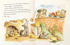 Paddington Combo Set 16 (2 Books)