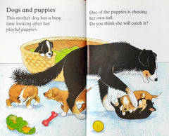 Lets Look at Baby Animals