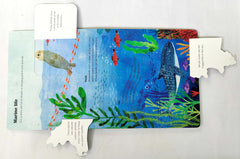 Seas (Flap Book)