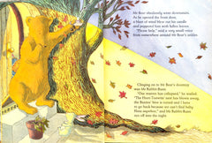 Mr Bear to the Rescue