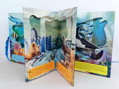Under The Ocean - 3D Carousel Book