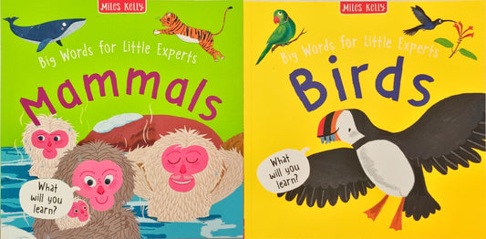 Miles Kelly Combo Set 25 (2 Books)