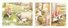 The Shepherd Boy