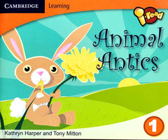 Animal Antics
