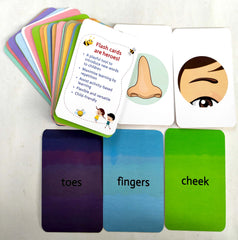 Human Body (Flash Card)