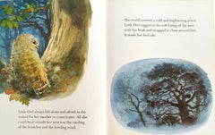 The Frightened Little Owl