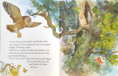 The Frightened Little Owl