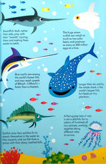 Usborne Animals of the World