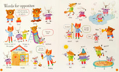 Usborne All you need to Know Before you Start School
