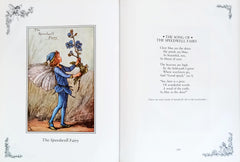 A Flower Fairies Treasury